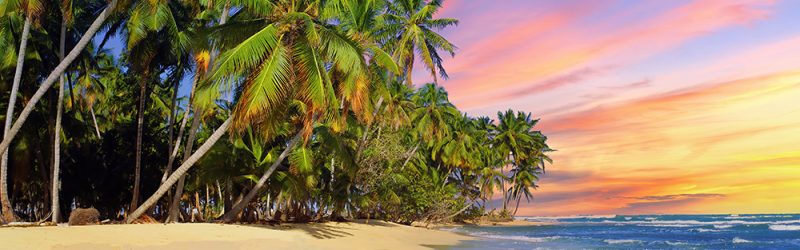 Beach with coconut tree at sunset, Dominican Republic.