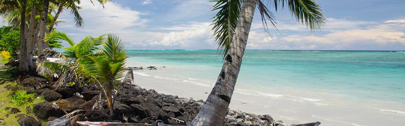 An old wooden boat on the shore surrounded by the sea and palm trees in the Savai'i island, Samoa